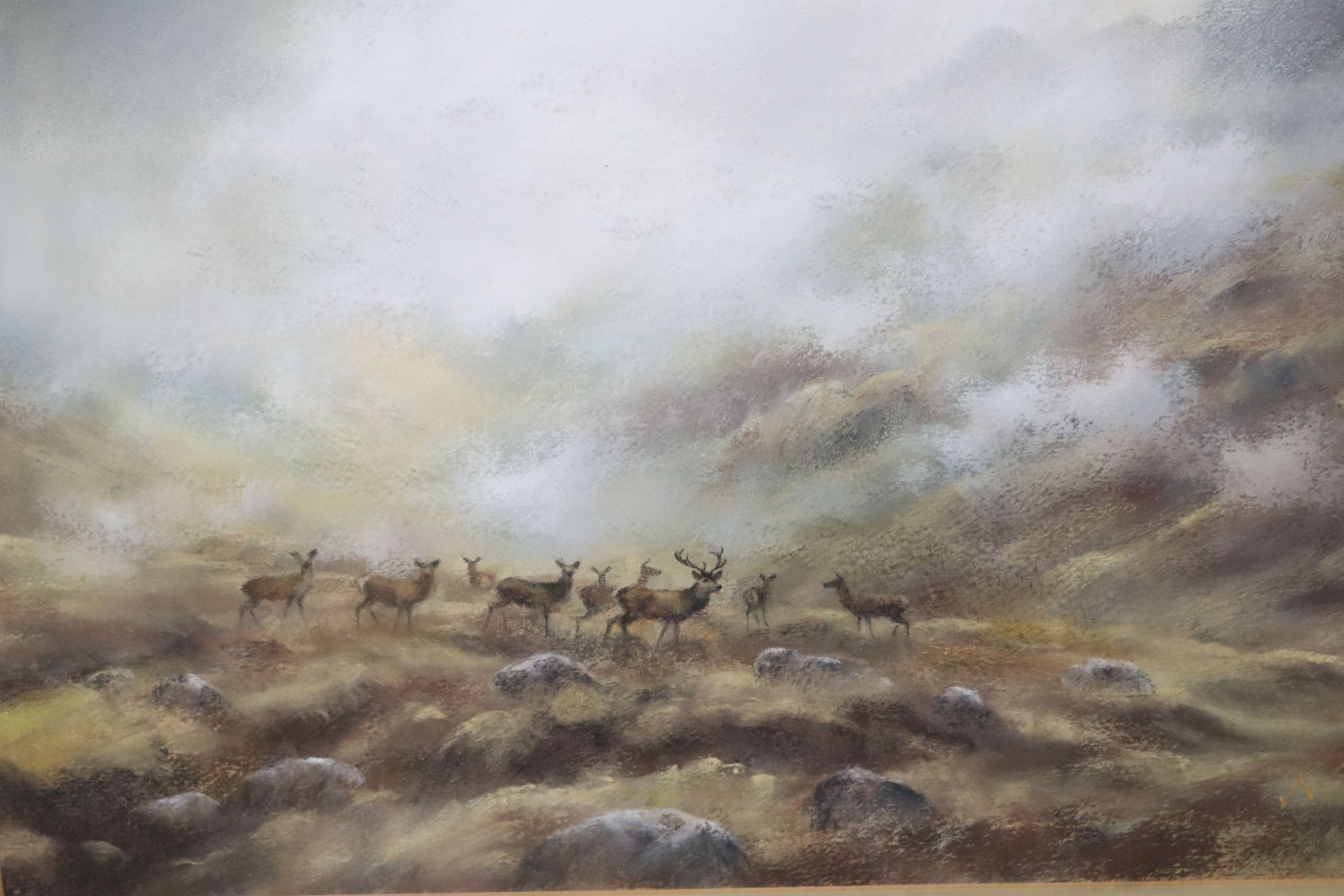 John Ross, pastel, Deer between An Riabhachan and An Cruachan, signed and dated 88, 32 x 46cm